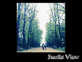 Snails View
 