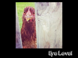 Eye Level
 