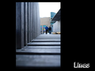 Lines
 