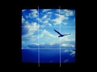 Photography 101