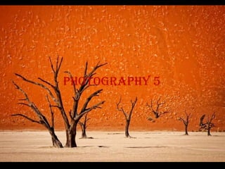 photography 5
 