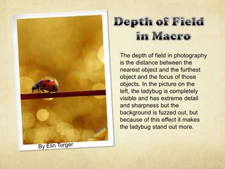 The depth of field in photography
is the distance between the
nearest object and the furthest
object and the focus of those
objects. In the picture on the
left, the ladybug is completely
visible and has extreme detail
and sharpness but the
background is fuzzed out, but
because of this effect it makes
the ladybug stand out more.
 