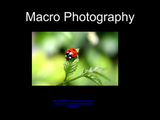Macro Photography
http://wallfullhd.com/awesome/amazing-
macro-photography-objects-wallpaper-
6160.html
 