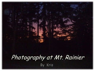 Photography at Mt. Rainier,[object Object],By  Kris,[object Object]
