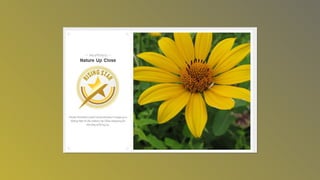 Photography awardsslideshow