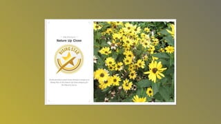 Photography awardsslideshow