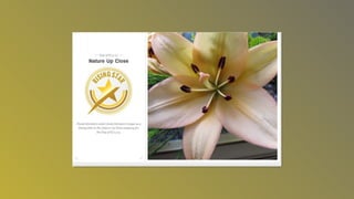 Photography awardsslideshow