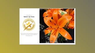 Photography awardsslideshow