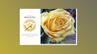 Photography awardsslideshow