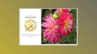 Photography awardsslideshow