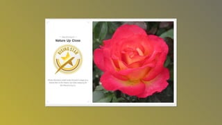 Photography awardsslideshow