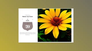 Photography awardsslideshow