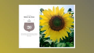 Photography awardsslideshow