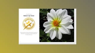 Photography awardsslideshow