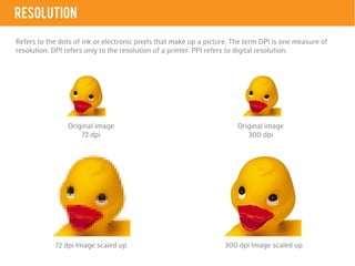 Resolution In Image Photography Basics | PDF