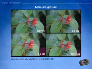 Manual Exposure
Understand why you would want to change the ISO.
 