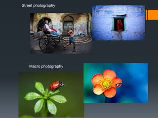 Street photography
Macro photography
 