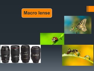 Macro lense
 