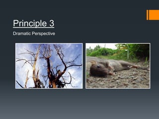 Principle 3
Dramatic Perspective
 
