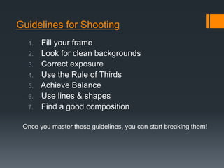 Guidelines for Shooting
1. Fill your frame
2. Look for clean backgrounds
3. Correct exposure
4. Use the Rule of Thirds
5. Achieve Balance
6. Use lines & shapes
7. Find a good composition
Once you master these guidelines, you can start breaking them!
 
