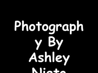 Photography By Ashley Nieto 
