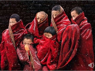 Photography By Chan Kwok Hung (National Geographic Winner)