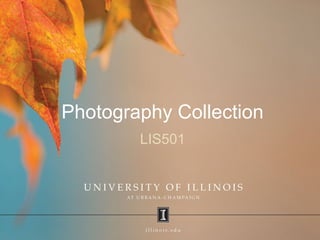 Photography Collection
LIS501
 