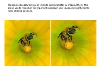 You can easily apply the rule of thirds to existing photos by cropping them. This
allows you to reposition the important subjects in your image, moving them into
more pleasing positions.
 