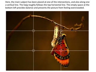 Here, the main subject has been placed at one of the intersections, and also along one
a vertical line. The twig roughly follows the top horizontal line. The empty space at the
bottom left provides balance and prevents the picture from feeling overcrowded.
 
