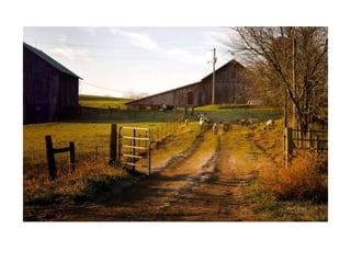 Photography Composition Basics | PPTX
