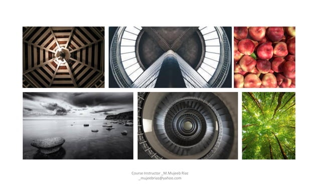 Photography Composition Elements & Principles | PPT