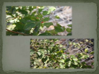 Kevin Huynh Photography composition