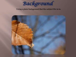 Background
Using a plain background that the subject fits in to.
 