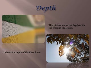 This picture shows the depth of the
                                         sun through the leaves.




It shows the depth of the three lines.
 