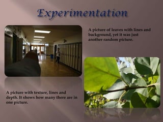 A picture of leaves with lines and
                                        background, yet it was just
                                        another random picture.




A picture with texture, lines and
depth. It shows how many there are in
one picture.
 