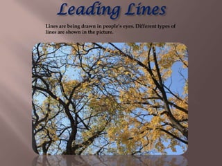 Leading Lines
Lines are being drawn in people’s eyes. Different types of
lines are shown in the picture.
 