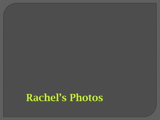 Rachel’s Photos 