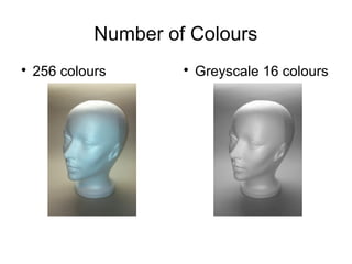 Number of Colours 
 256 colours  Greyscale 16 colours 
 