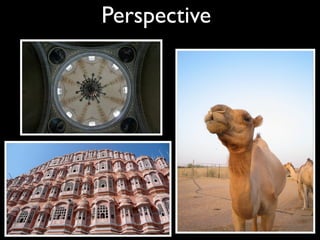 Perspective