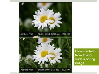 Please refrain
from taking
such a boring
image
 