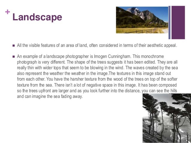 photography genres