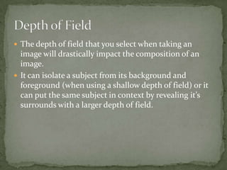 The depth of field that you select when taking an image will drastically impact the composition of an image. It can isolate a subject from its background and foreground (when using a shallow depth of field) or it can put the same subject in context by revealing it’s surrounds with a larger depth of field. Depth of Field