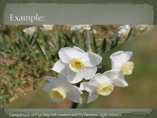 Example:Comparison of f/32 (top-left corner) and f/5 (bottom-right corner)