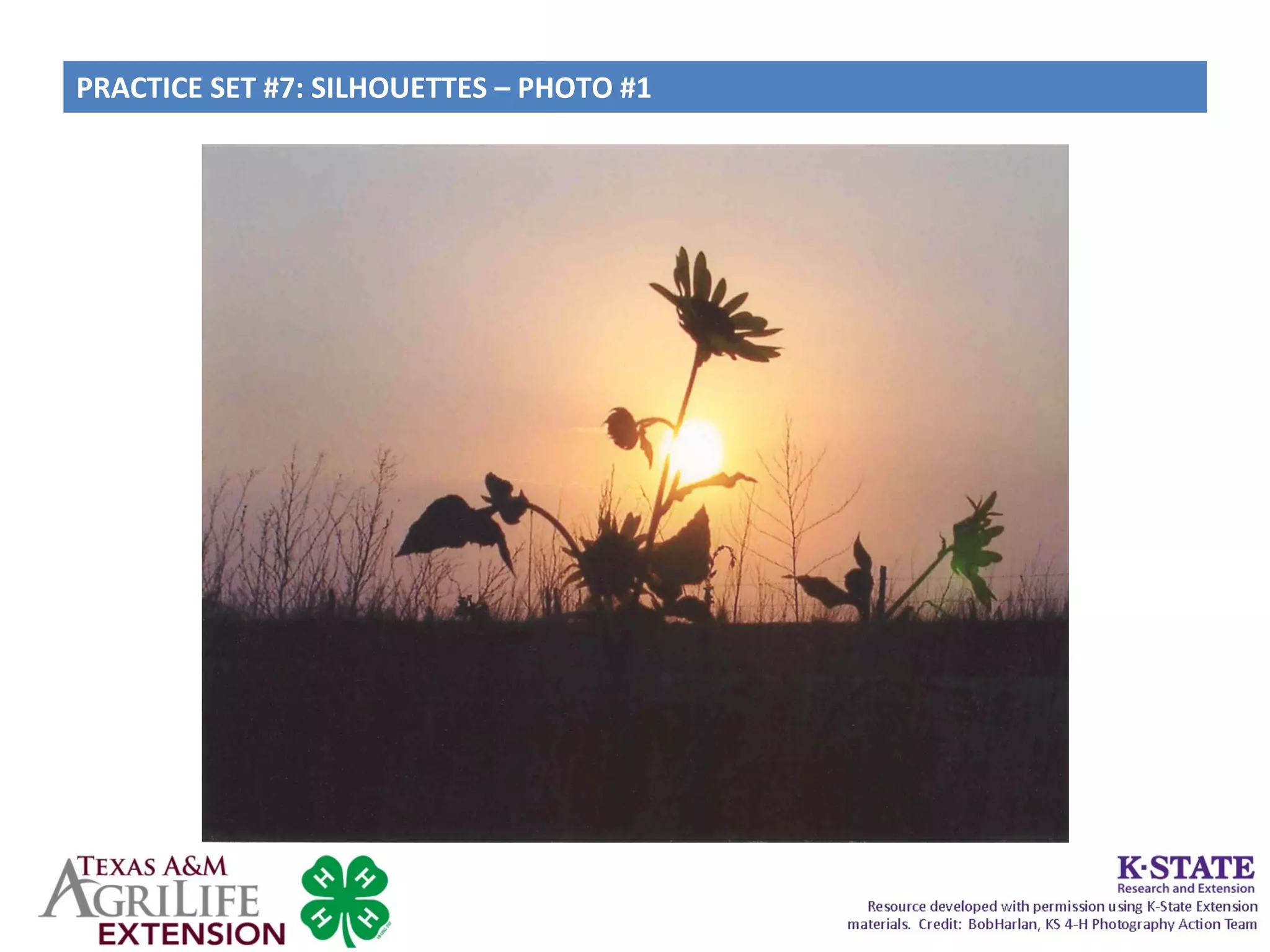 PRACTICE SET #7: SILHOUETTES – PHOTO #1
 