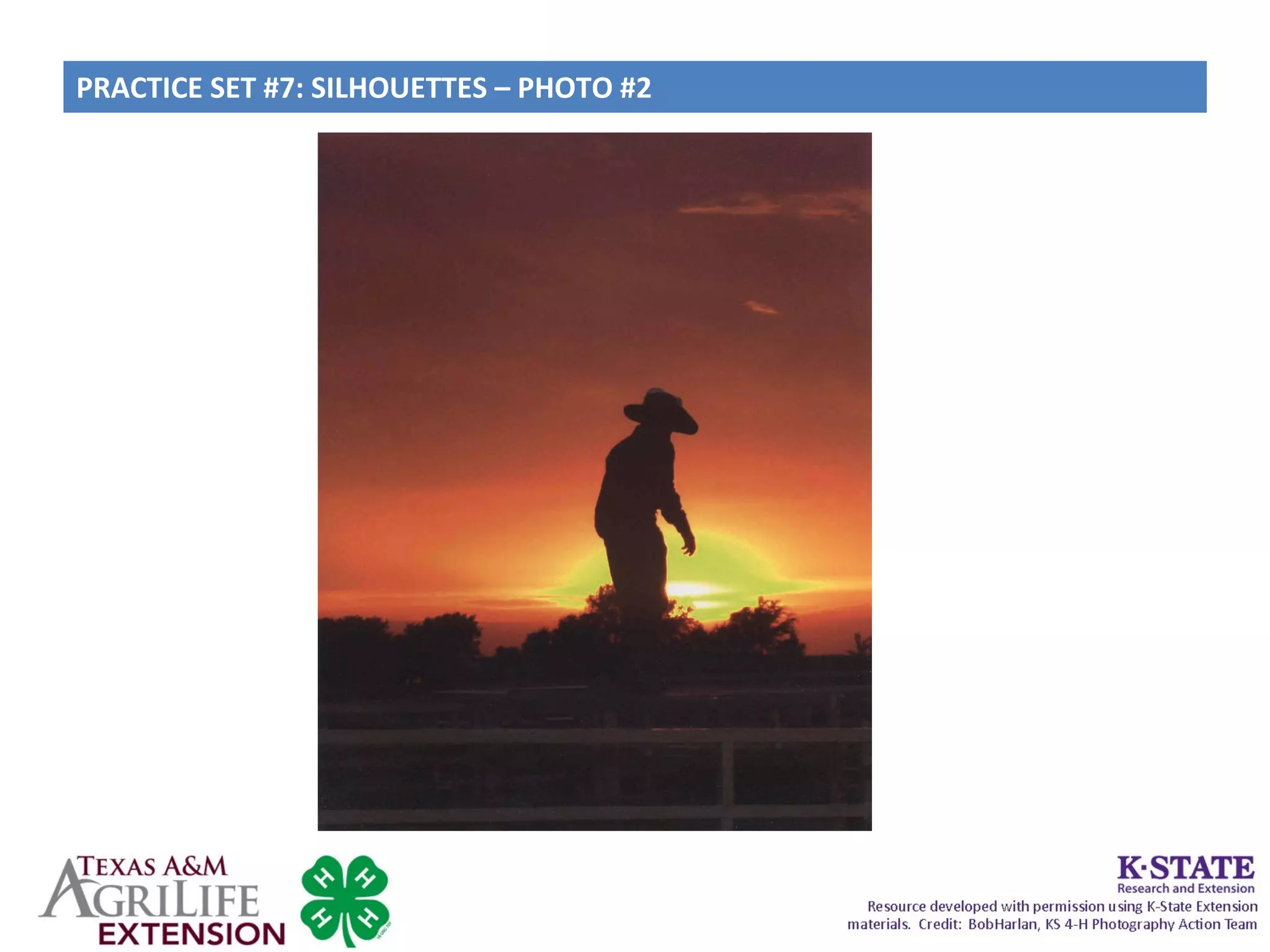 PRACTICE SET #7: SILHOUETTES – PHOTO #2
 