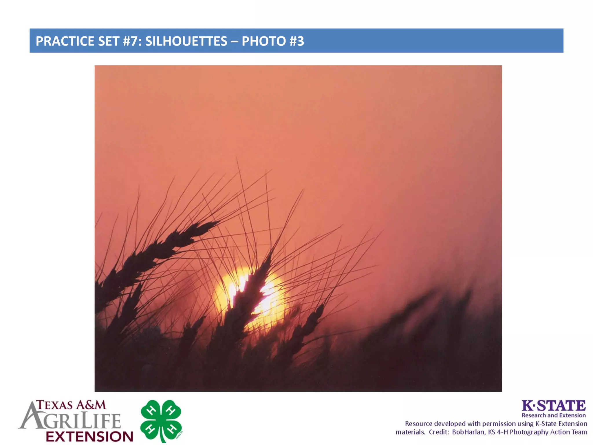 PRACTICE SET #7: SILHOUETTES – PHOTO #3
 