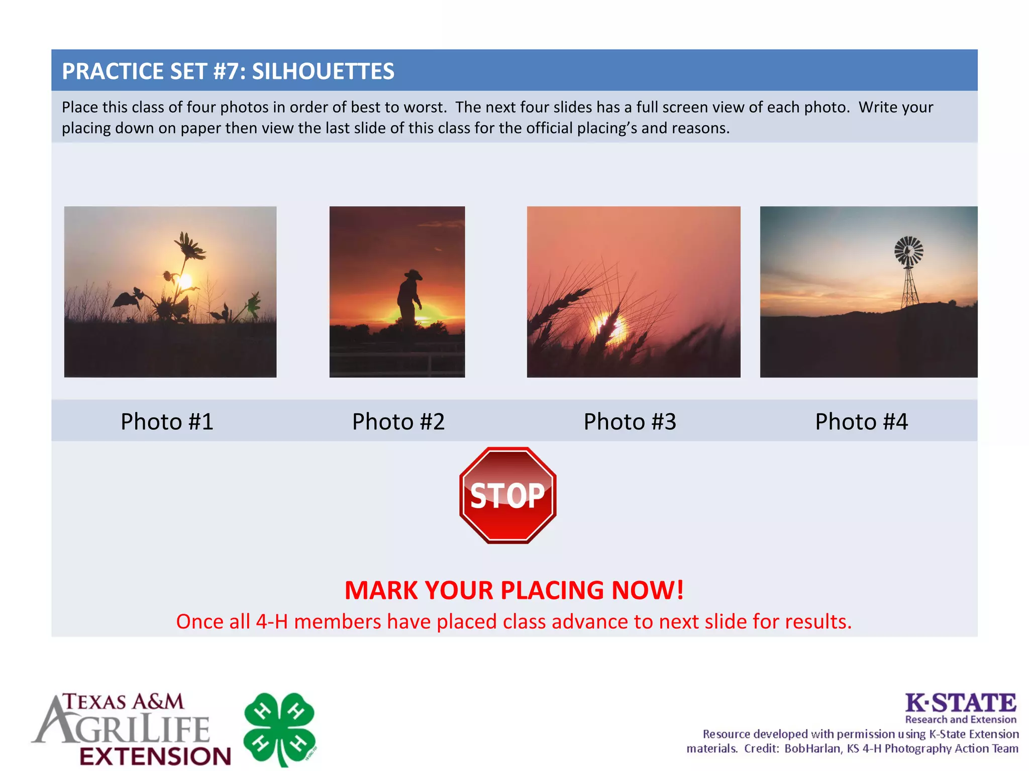 PRACTICE SET #7: SILHOUETTES
Place this class of four photos in order of best to worst. The next four slides has a full screen view of each photo. Write your
placing down on paper then view the last slide of this class for the official placing’s and reasons.
Photo #1 Photo #2 Photo #3 Photo #4
MARK YOUR PLACING NOW!
Once all 4-H members have placed class advance to next slide for results.
 