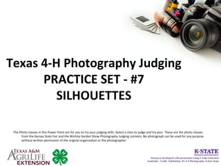 Texas 4-H Photography Judging
PRACTICE SET - #7
SILHOUETTES
The Photo classes in this Power Point are for you to try your judging skills. Select a class to judge and try your. These are the photo classes
from the Kansas State Fair and the Wichita Garden Show Photography Judging contests. No photograph can be used for any purpose
without written permission of the original organization or the photographer.
 