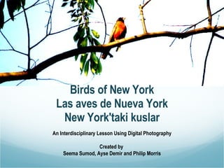 Birds of New York Las aves de Nueva York New York'taki kuslar An Interdisciplinary Lesson Using Digital Photography Created by  Seema Sumod, Ayse Demir and Philip Morris 
