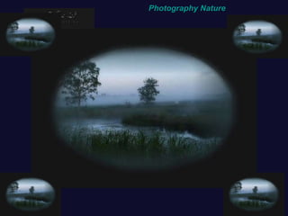 Photography Nature 